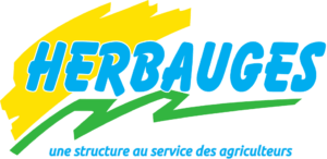 Logo_slogan