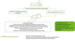 Projet coopératif