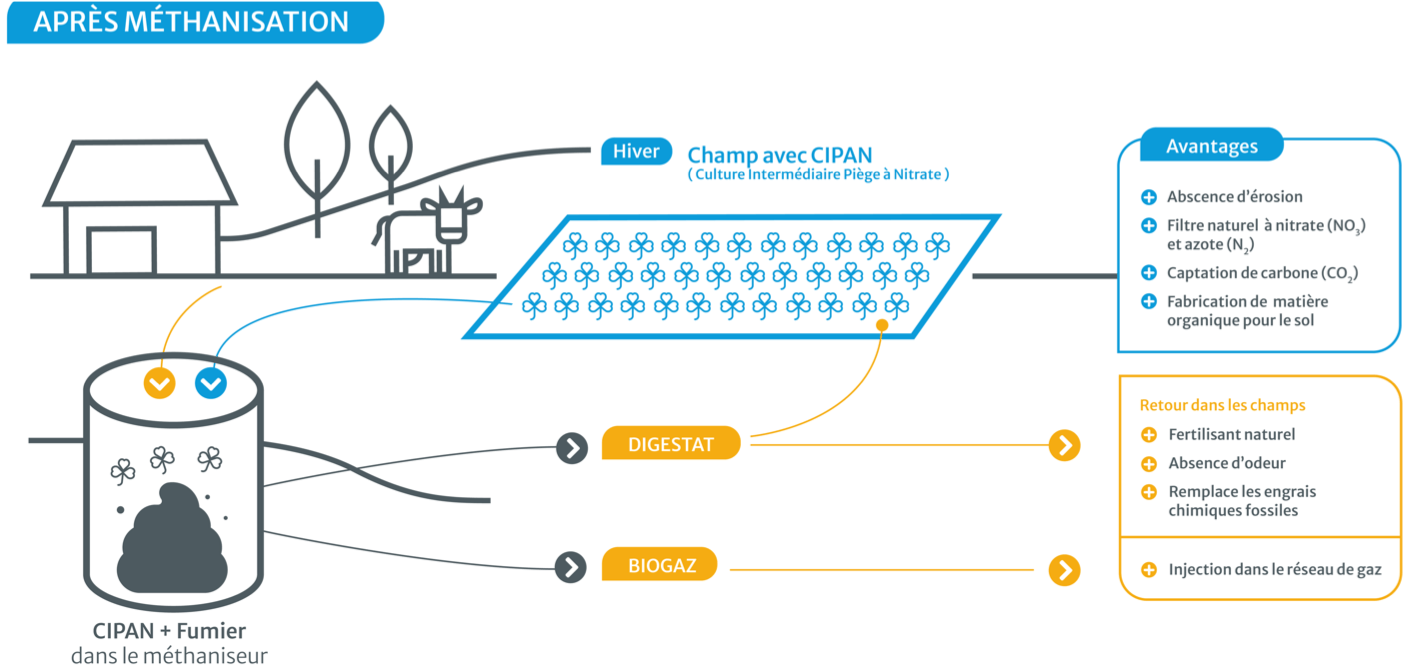 schema-methanisation