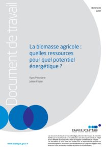 fs-dt_-_biomasse_agricole_-_quelles_ressources_pour_quel_potentiel_energetique_-_29-07-21